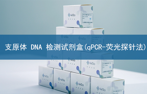 支原体 DNA 检测试剂盒(qPCR-荧光探针法)